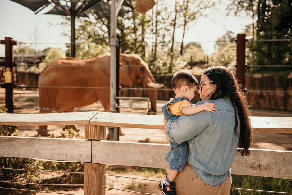 Woman holding a child watching an African elephant at the zoo